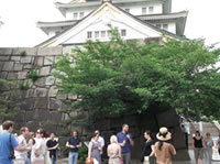 Osaka Castle