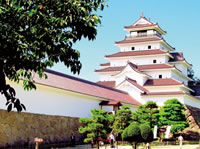 Tsuruga Castle