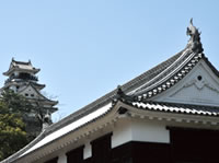 Kochi castle